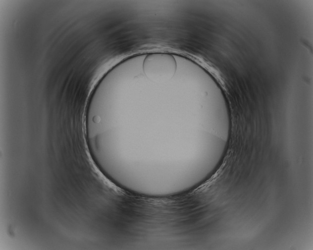X0000097671239200803281006