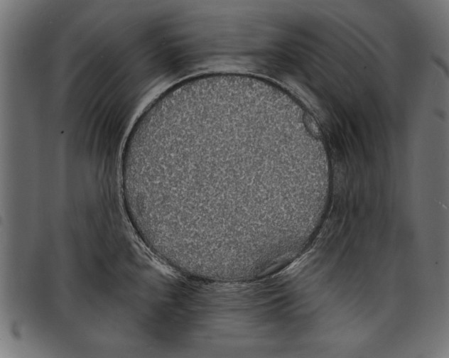 X0000097671240200803281006