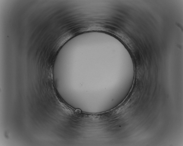 X0000097671241200803281006