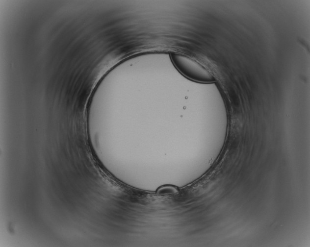 X0000097671242200803281006