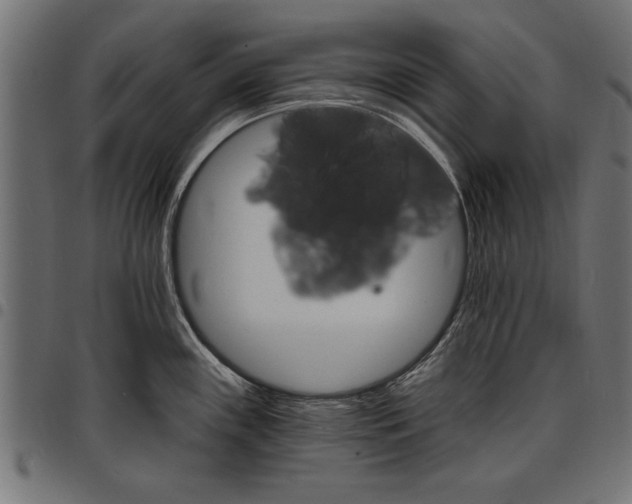 X0000097671243200803281006