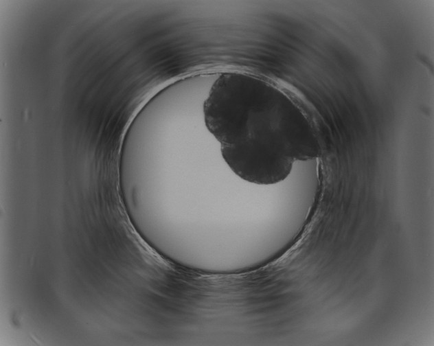 X0000097671244200803281006