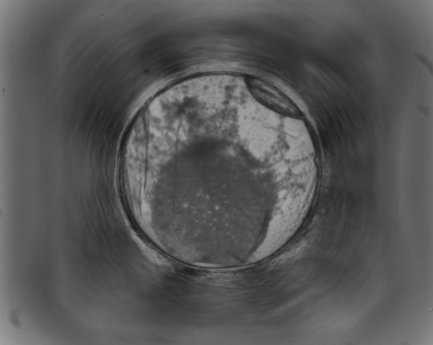 X0000097671245200803281006