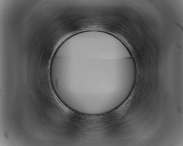 X0000097671246200803281006