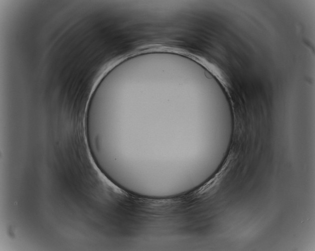 X0000097671247200803281006