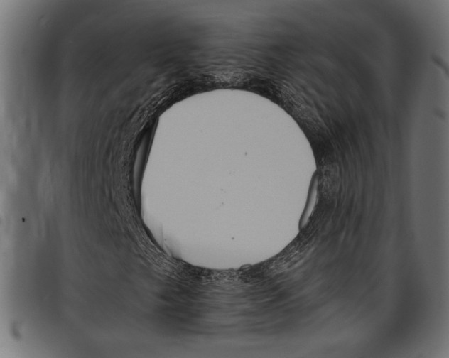 X0000097671249200803281005