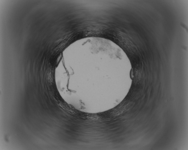 X0000097671250200803281005