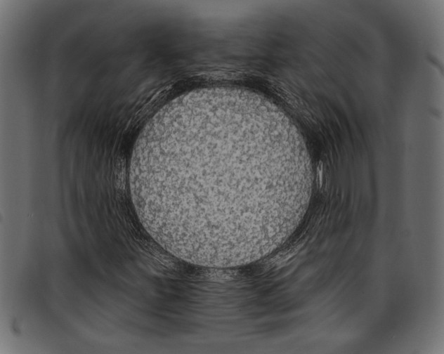 X0000097671251200803281005