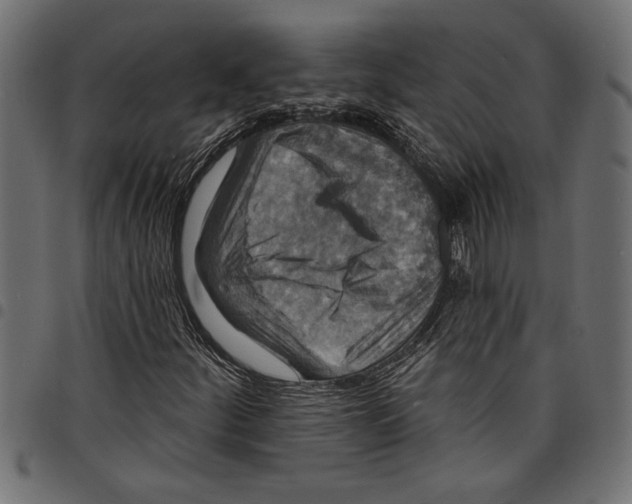 X0000097671252200803281005