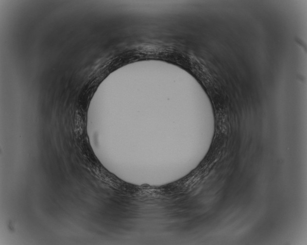 X0000097671253200803281005