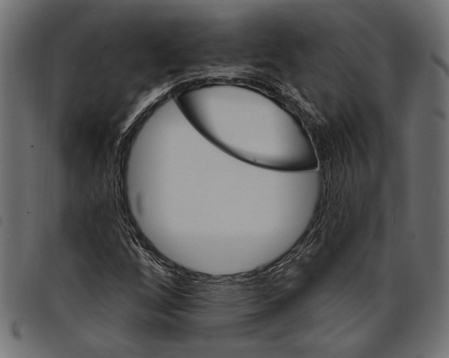 X0000097671256200803281005
