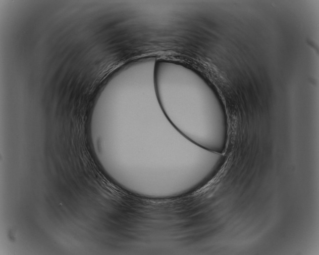 X0000097671257200803281005