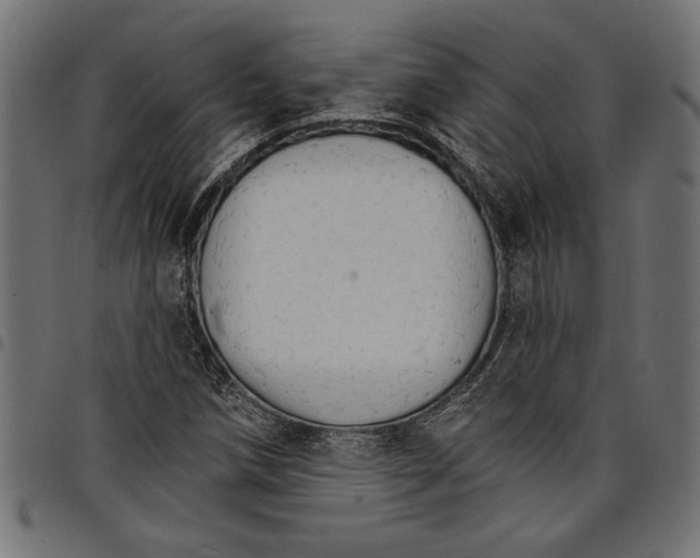 X0000097671258200803281005