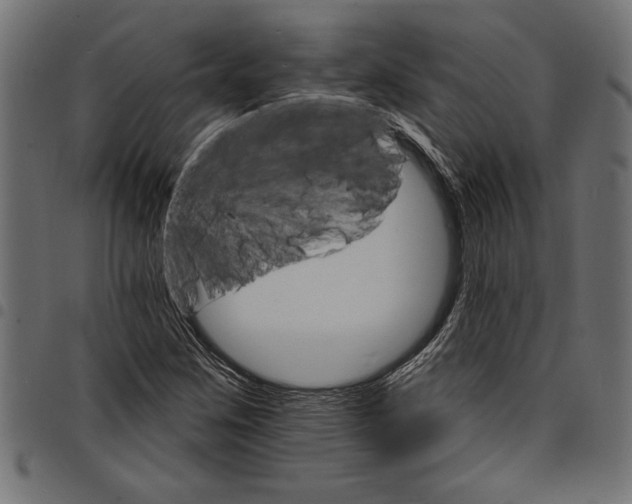 X0000097671259200803281005