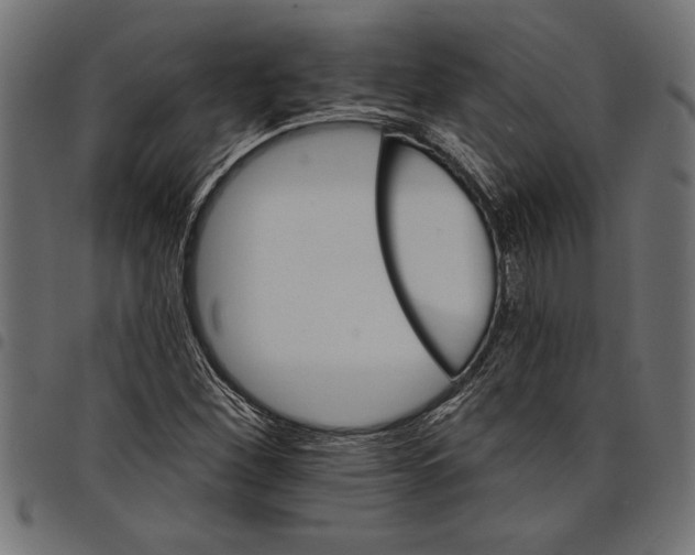 X0000097671260200803281005