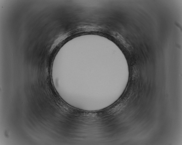 X0000097671261200803281005
