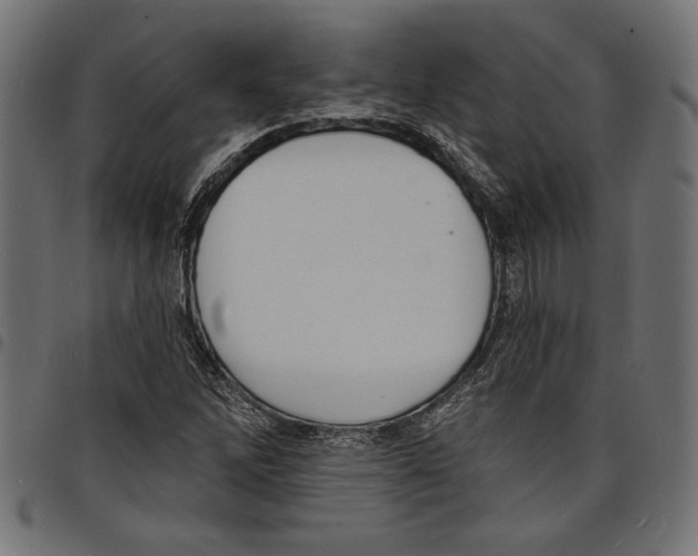X0000097671262200803281005