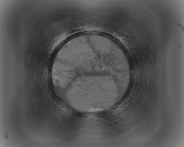 X0000097671263200803281005