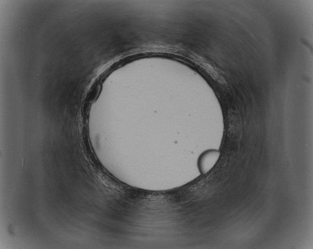 X0000097671264200803281005