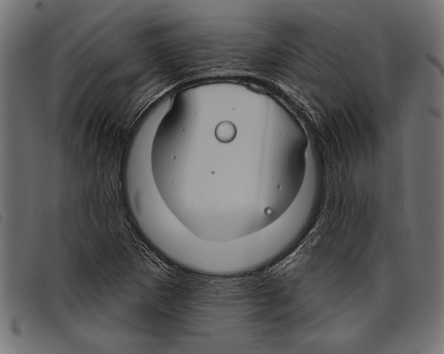 X0000097671265200803281005