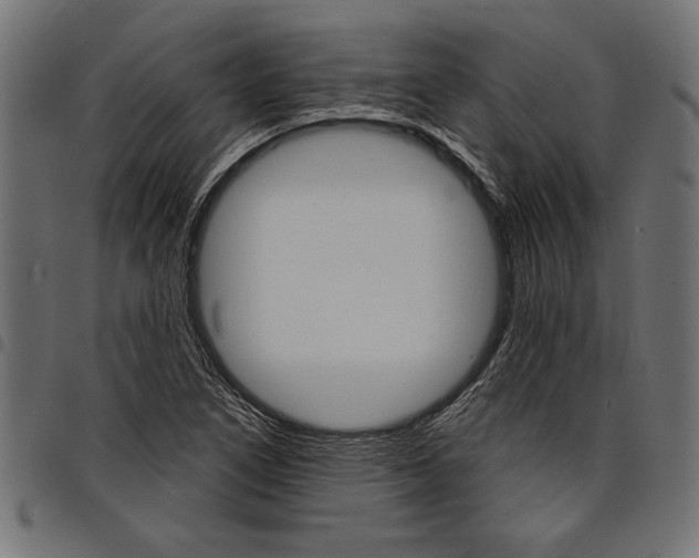 X0000097671266200803281005