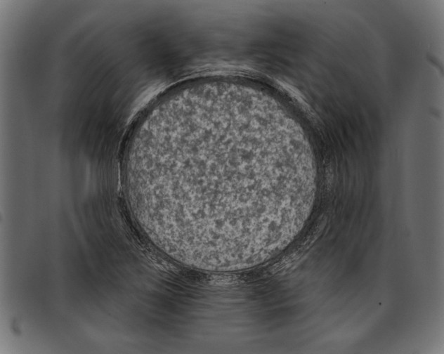 X0000097671267200803281005