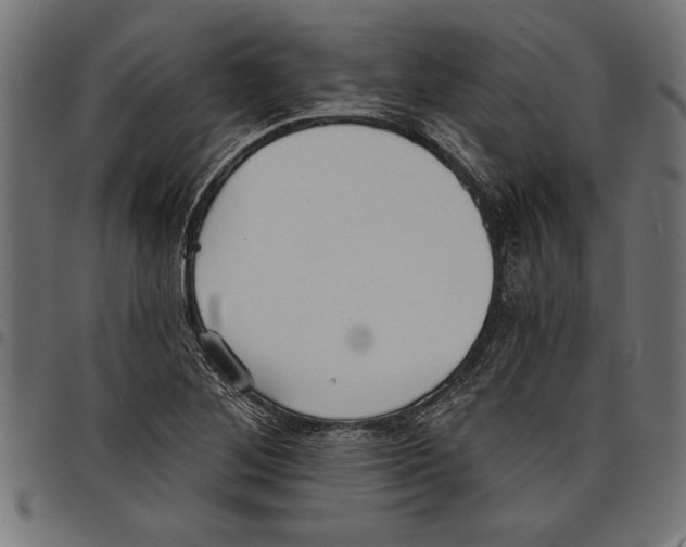 X0000097671268200803281005