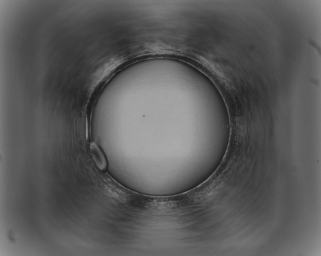 X0000097671269200803281005