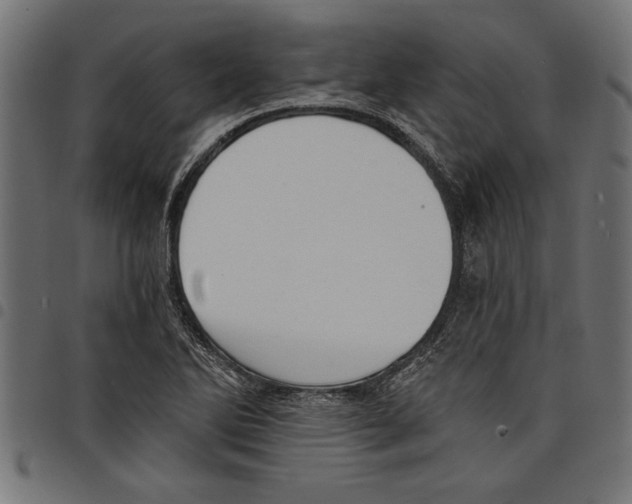 X0000097671270200803281005