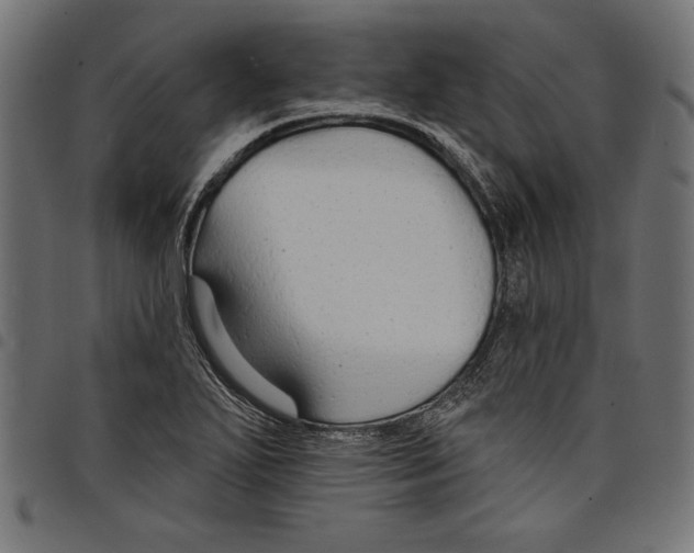 X0000097671271200803281005