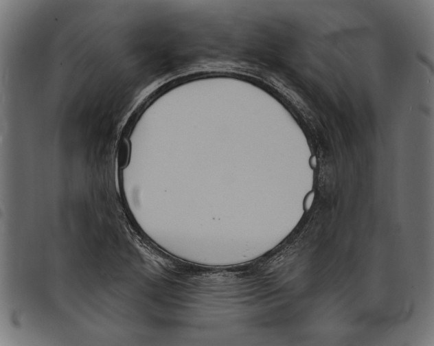 X0000097671272200803281005