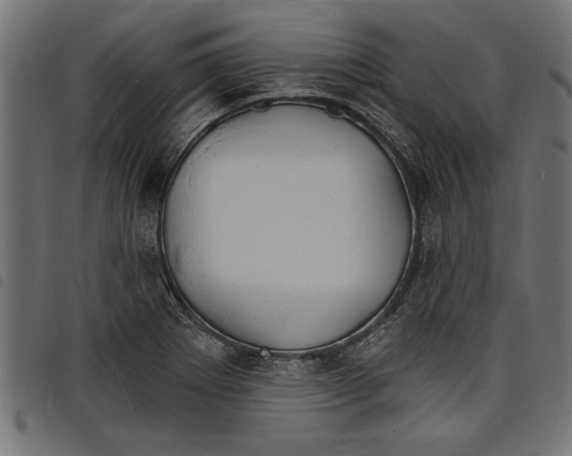 X0000097671273200803281005