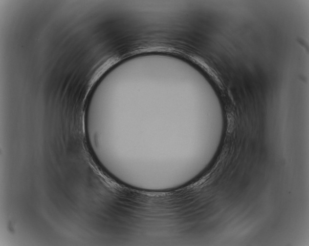 X0000097671274200803281005