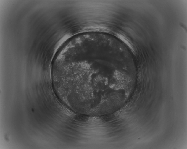 X0000097671275200803281005