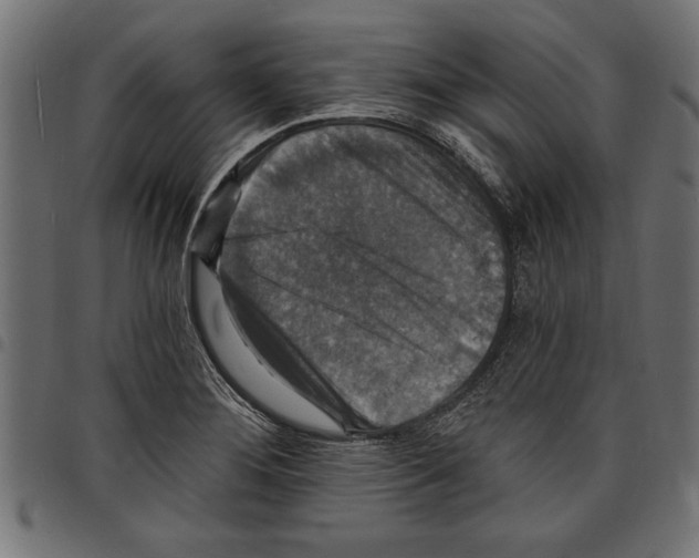 X0000097671276200803281005