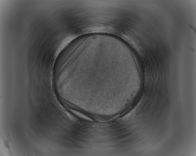 X0000097671277200803281005