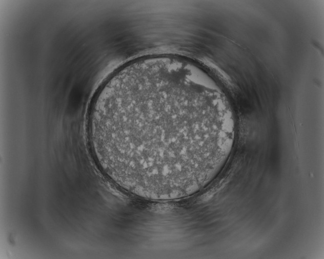 X0000097671278200803281005