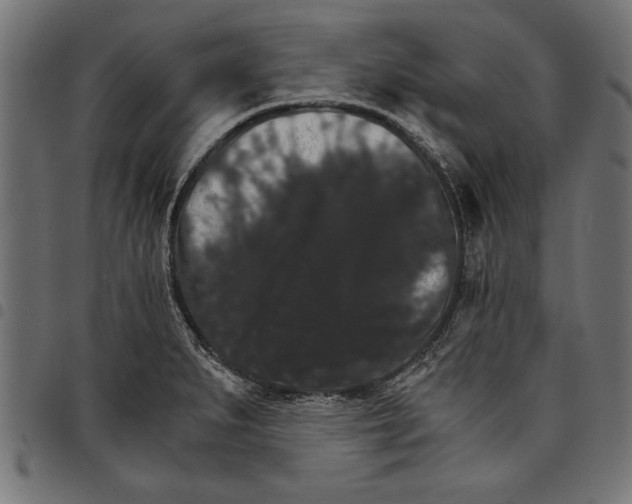 X0000097671279200803281005