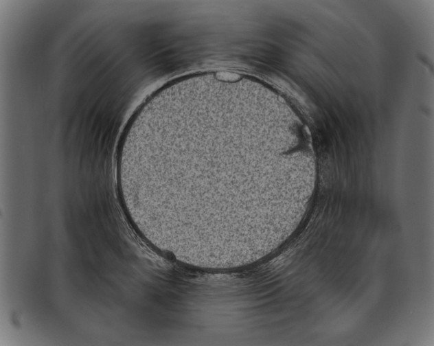 X0000097671280200803281005
