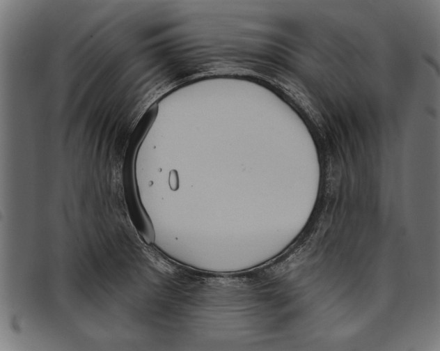 X0000097671281200803281005