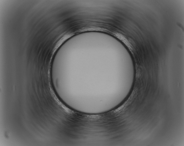 X0000097671282200803281005