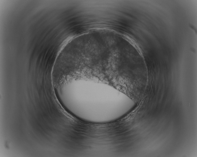 X0000097671283200803281005