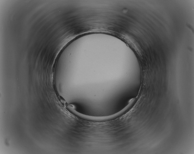 X0000097671284200803281005