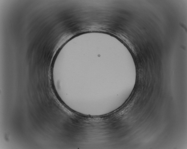 X0000097671285200803281005