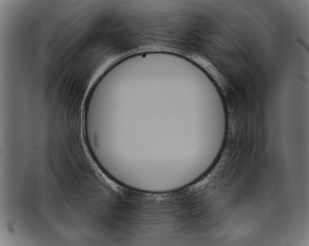 X0000097671286200803281005