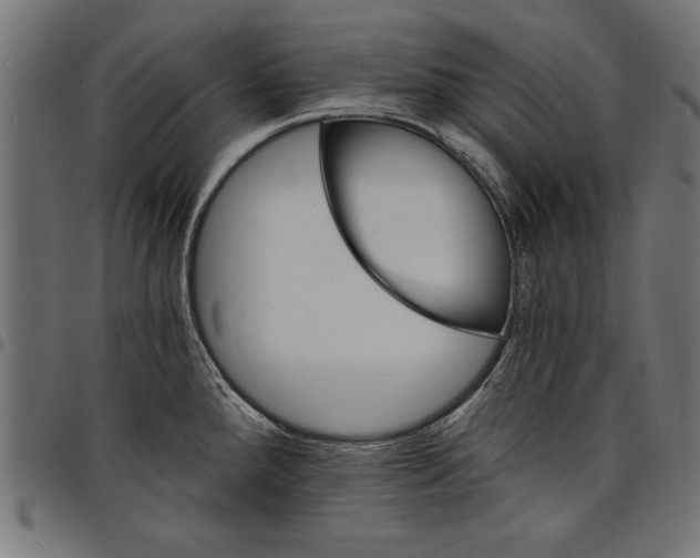 X0000097671288200803281005