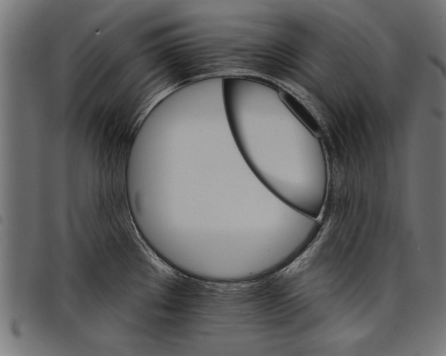X0000097671289200803281005