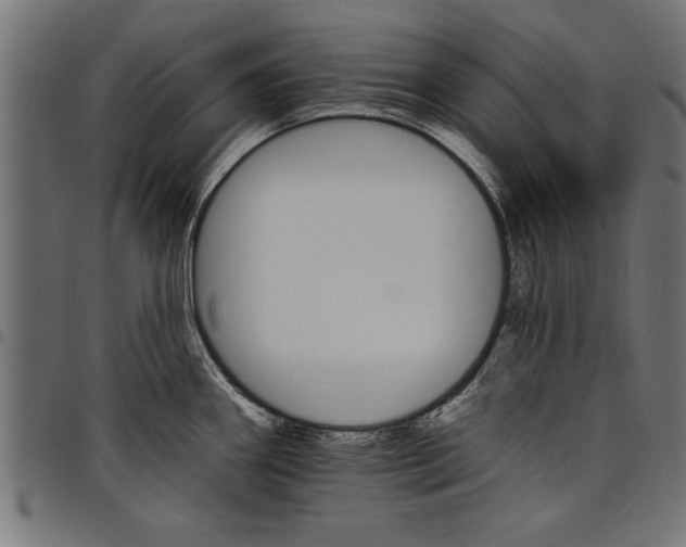 X0000097671290200803281005