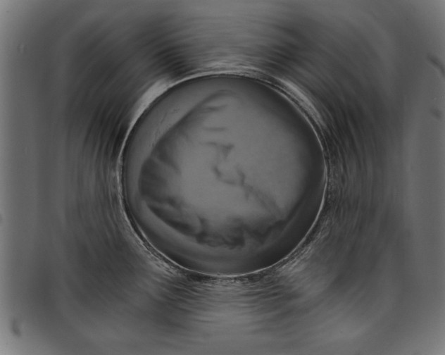 X0000097671291200803281005