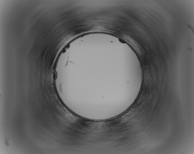 X0000097671292200803281004